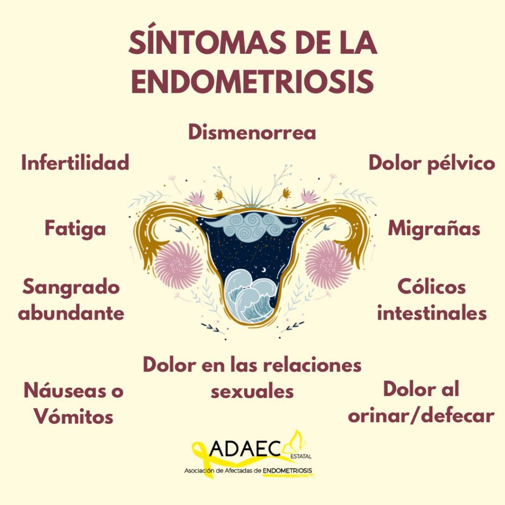Cortes endometriosis